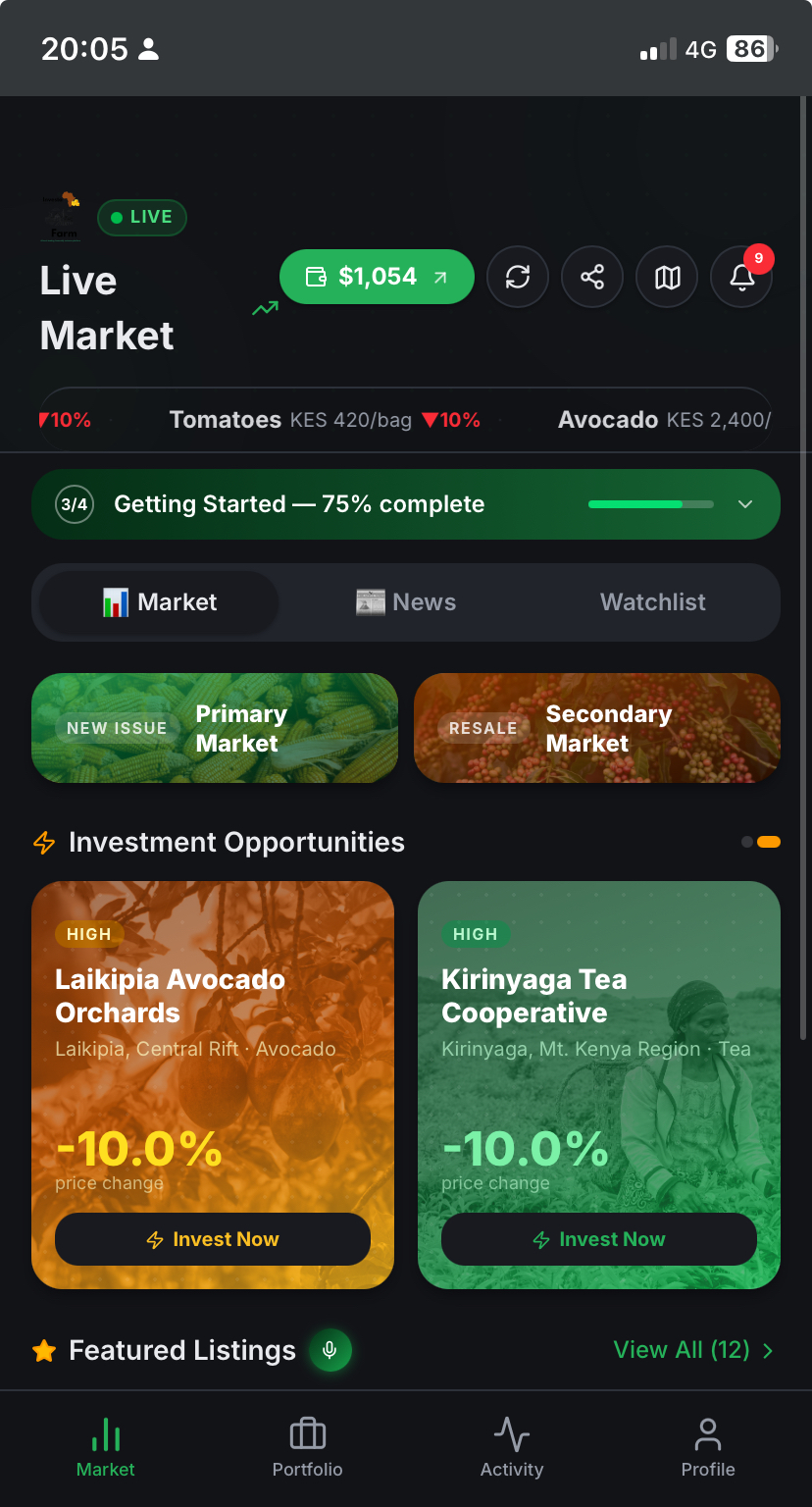 Primary Investment Market