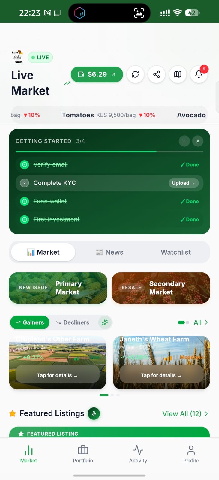 Primary Market